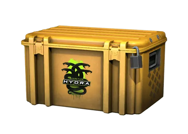 Operation Hydra Case