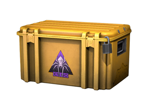 Shattered Web Case