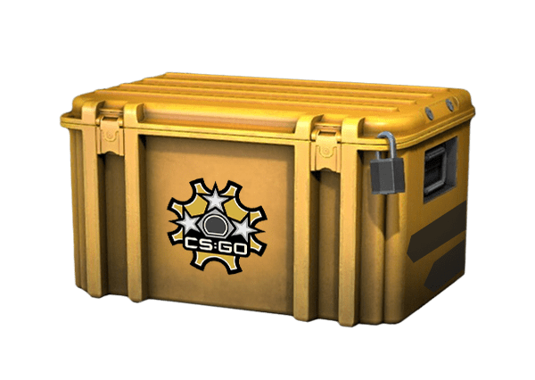 Revolver Case