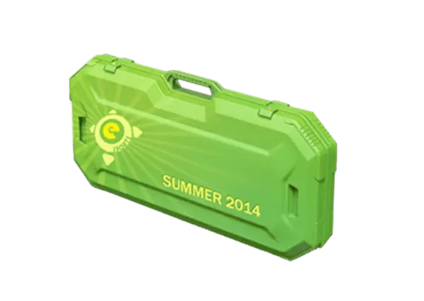eSports 2014 Summer Case