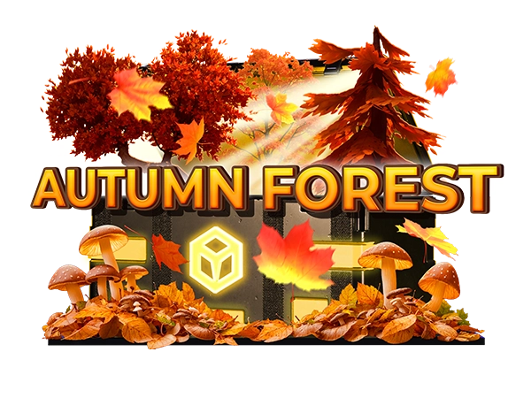 Autumn Forest